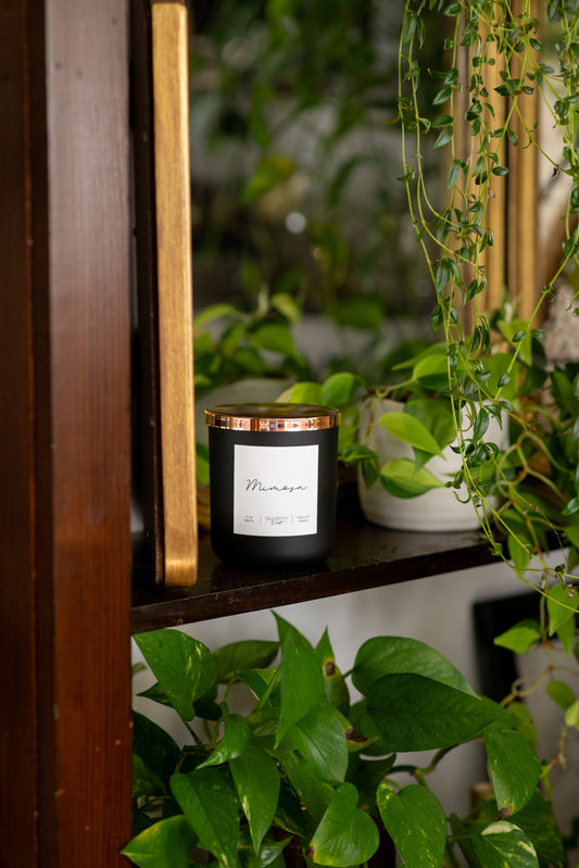Are Soy Candles Safe for Pets?