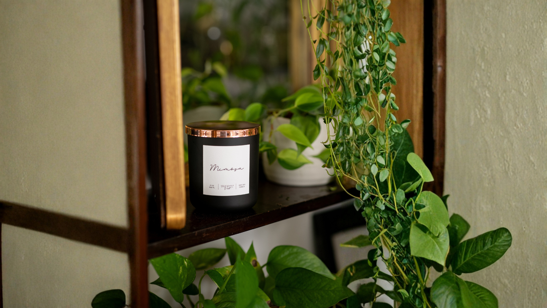 Are Soy Candles Safe for Pets? What Pet Owners Should Know